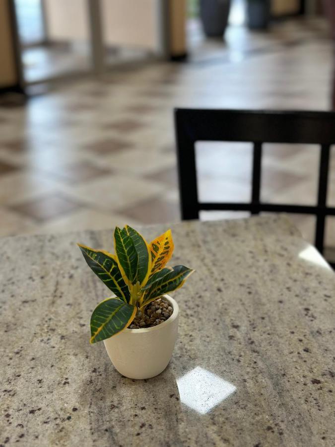 Econo Lodge Ardmore Zewnętrze zdjęcie